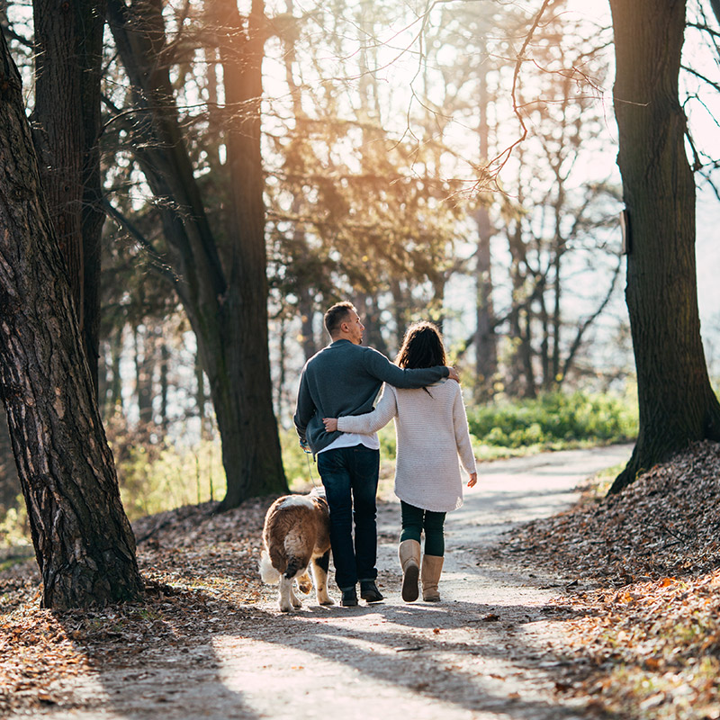 Couple walking dog