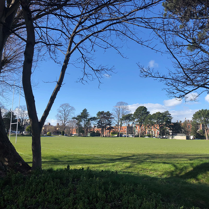 Shool playing fields